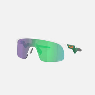 Resistor Sunglass