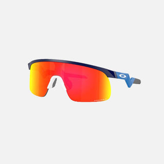Resistor Sunglass