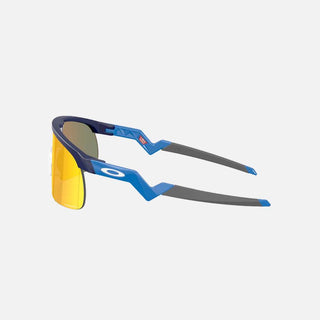 Resistor Sunglass