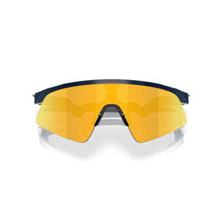 Resistor Sweep Sunglass