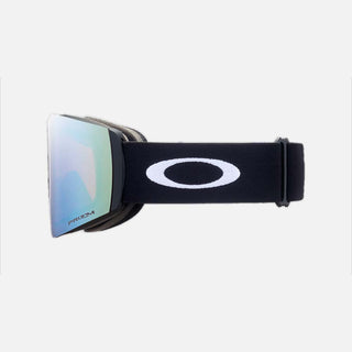 Fall Line L Snow Goggle
