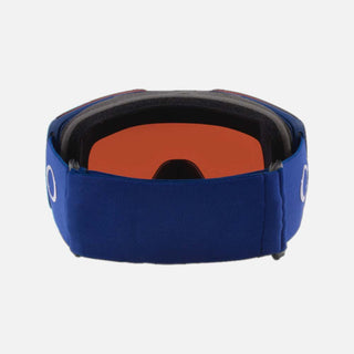 Fall Line L Snow Goggle