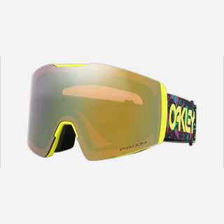 Fall Line L Snow Goggle