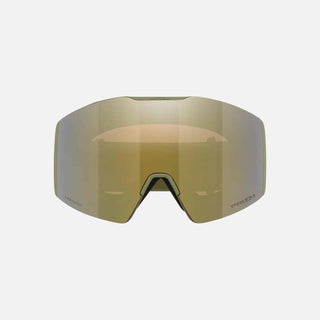 Fall Line L Snow Goggles - Men
