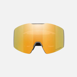 Fall Line L Snow Goggles - Men