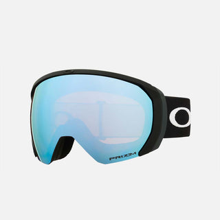 Flight Path L Snow Goggle