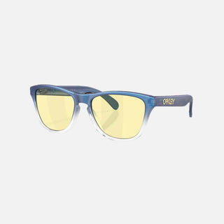 X Fortnite Frogskins S Sunglasses