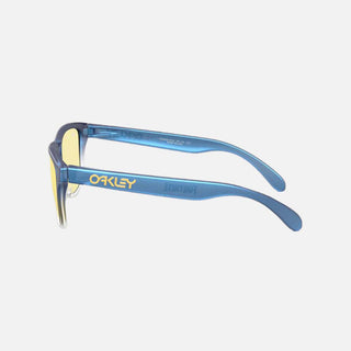 X Fortnite Frogskins S Sunglasses