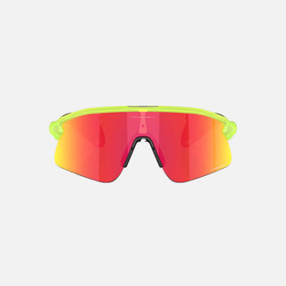 Stunt Devil Sunglasses