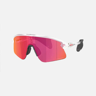 Stunt Devil Sunglasses