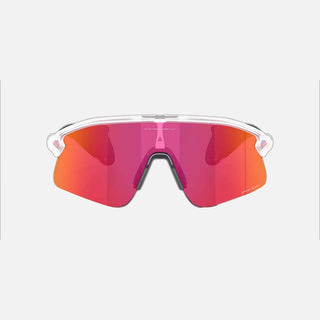 Stunt Devil Sunglasses