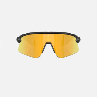Stunt Devil Sunglasses