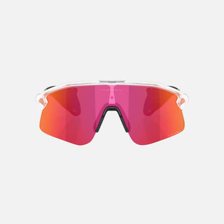Stunt Devil S Sunglasses