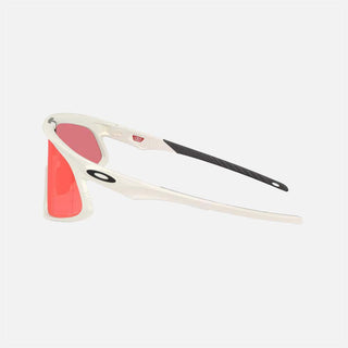 RSLV 141 Sunglasses - Unisex