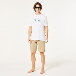 Baseline Hybrid 21 2.0