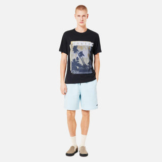 Marine Park Hybrid 19" Short