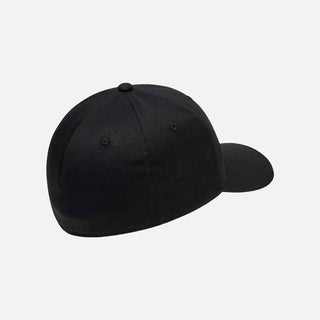 Tinfoil II Cap