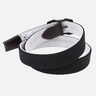 Web Reversible Belt