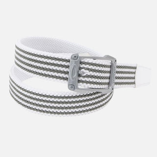 Web Reversible Belt 14.1