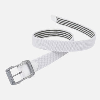 Web Reversible Belt 14.1