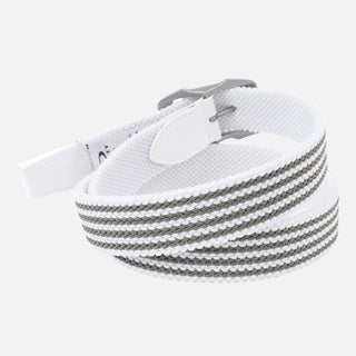 Web Reversible Belt 14.1