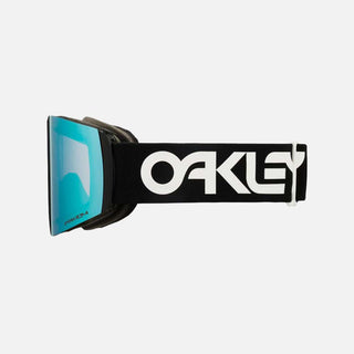 Fall Line L Snow Goggles - Men